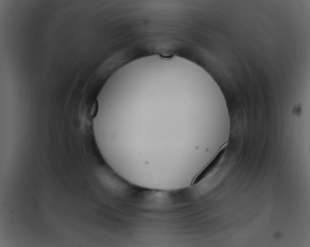 X0000101120140200807172009