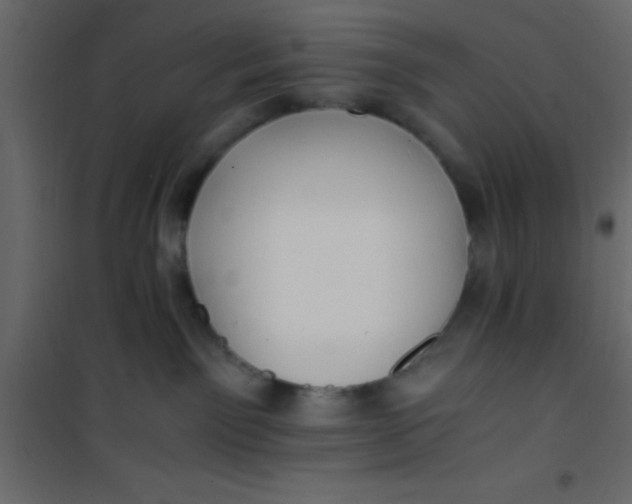X0000101120141200807172009