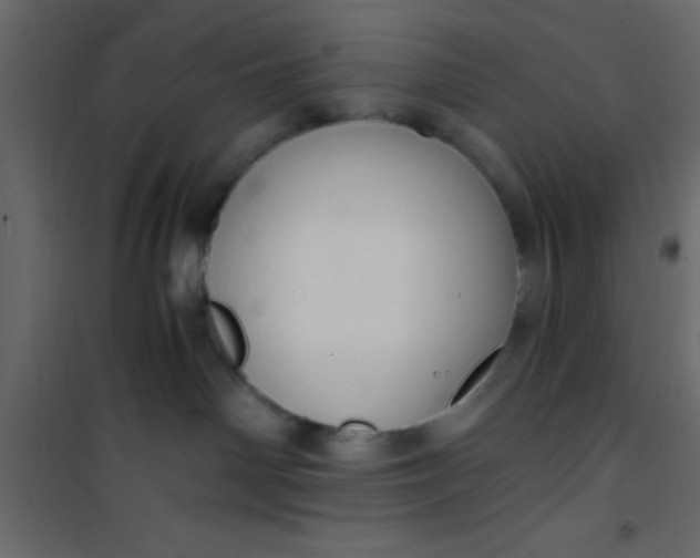 X0000101120142200807172009