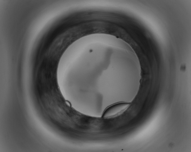 X0000101120143200807172009