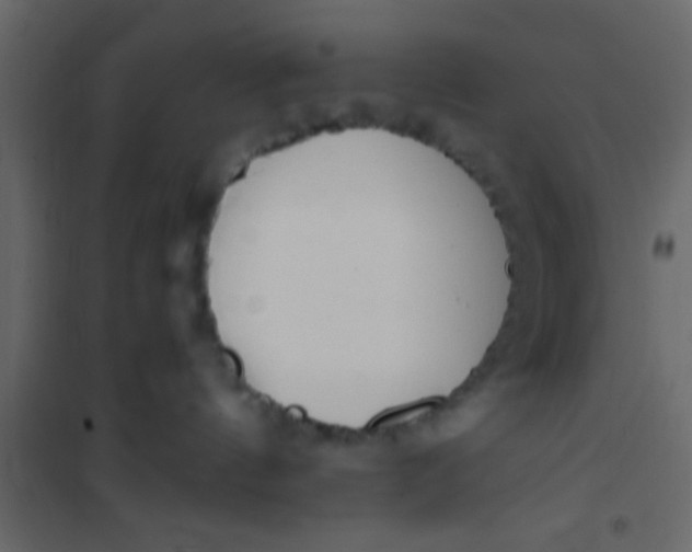 X0000101120144200807172009