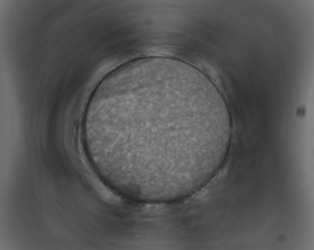 X0000101120145200807172008