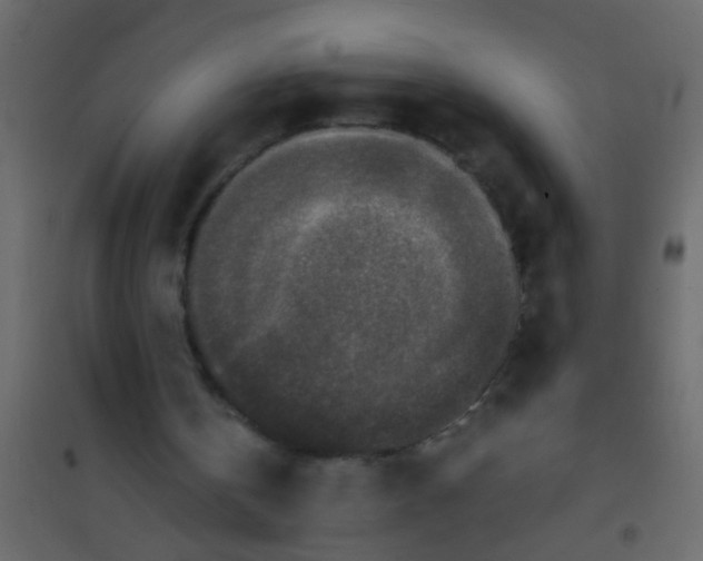 X0000101120146200807172008
