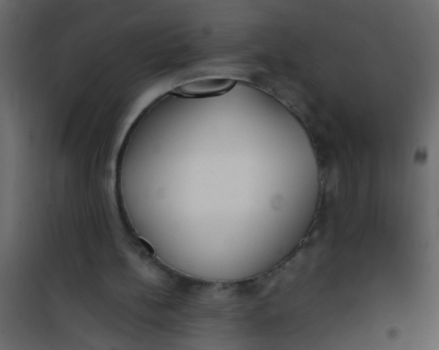 X0000101120148200807172008