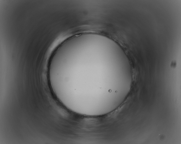 X0000101120150200807172008