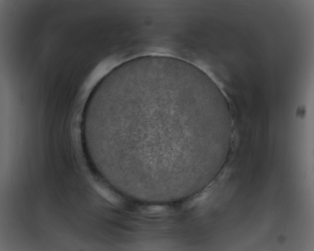 X0000101120151200807172008