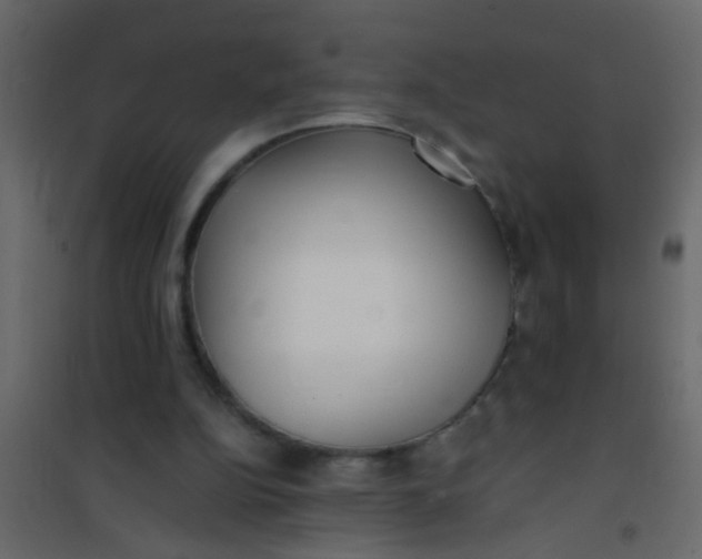 X0000101120152200807172008