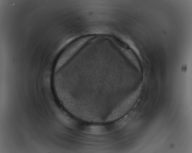 X0000101120154200807172008
