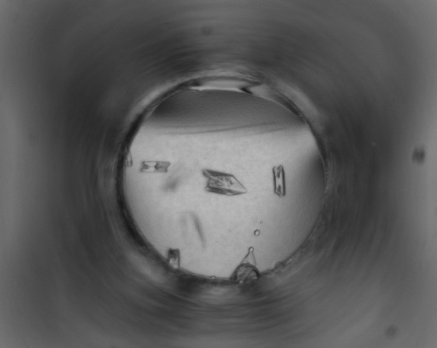 X0000101120155200807172008