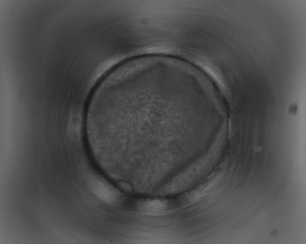 X0000101120156200807172008