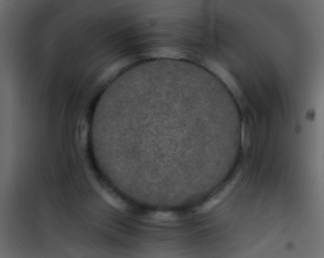 X0000101120157200807172008