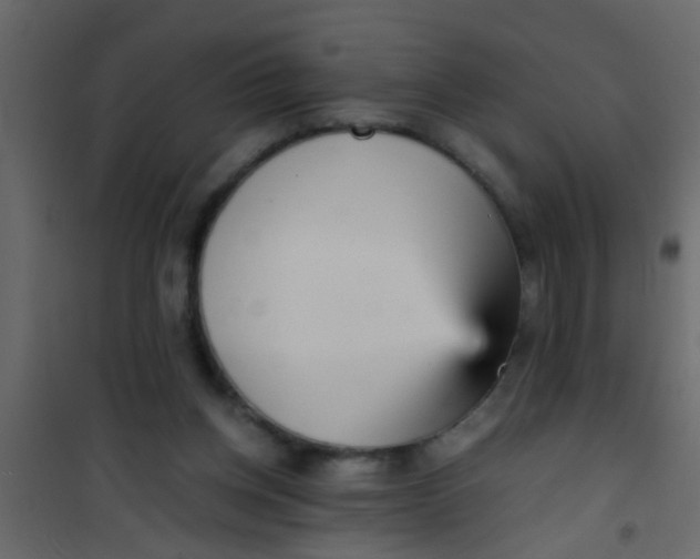 X0000101120158200807172008