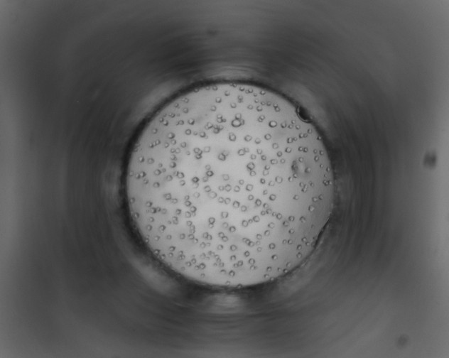X0000101120159200807172008