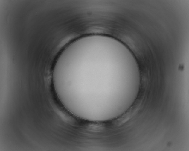 X0000101120160200807172008