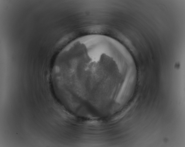 X0000101120161200807172008