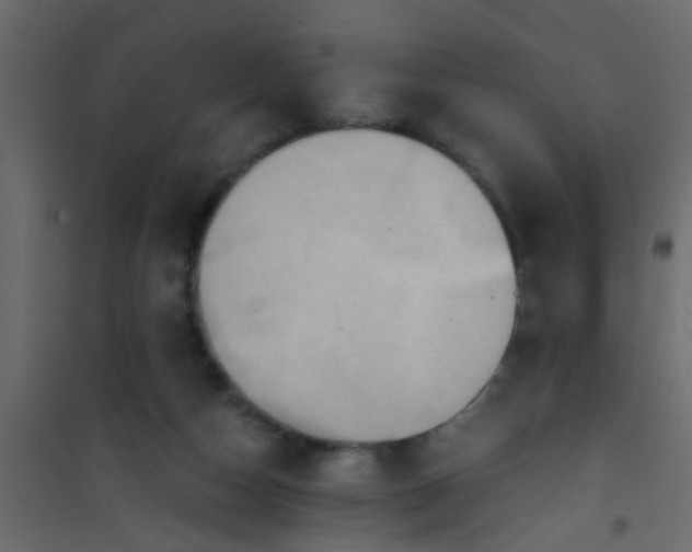 X0000101120162200807172008