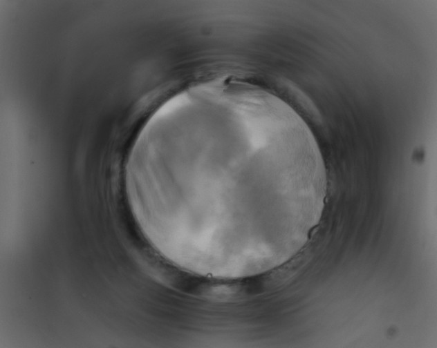 X0000101120163200807172008