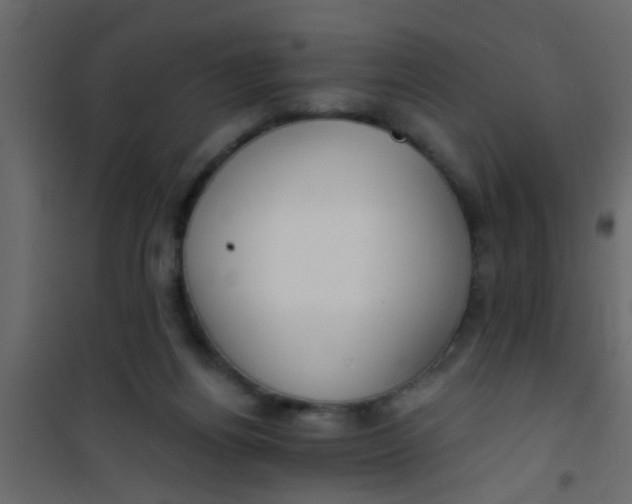 X0000101120164200807172008