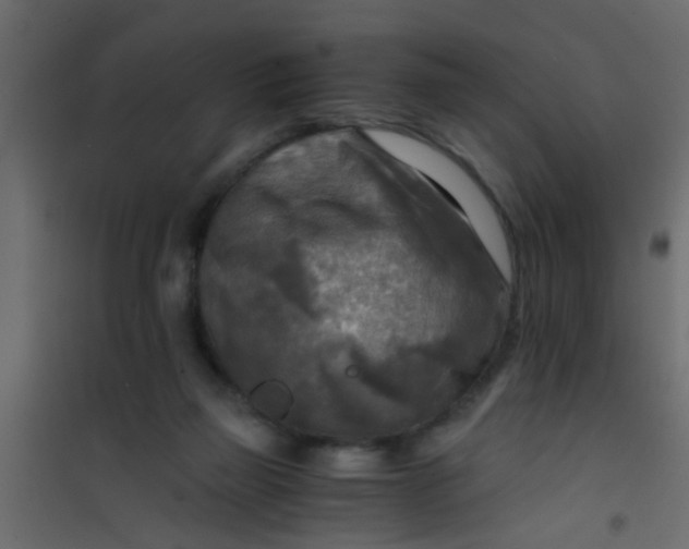 X0000101120165200807172008