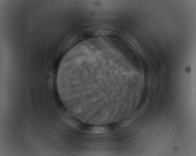 X0000101120169200807172008