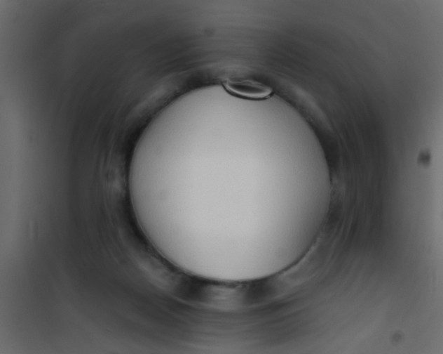 X0000101120170200807172008