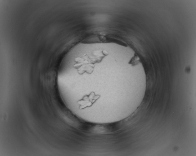X0000101120171200807172008