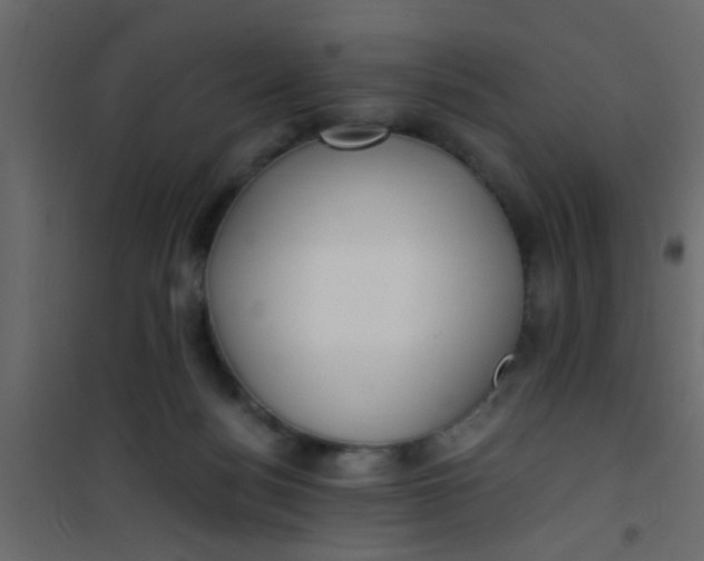 X0000101120172200807172008