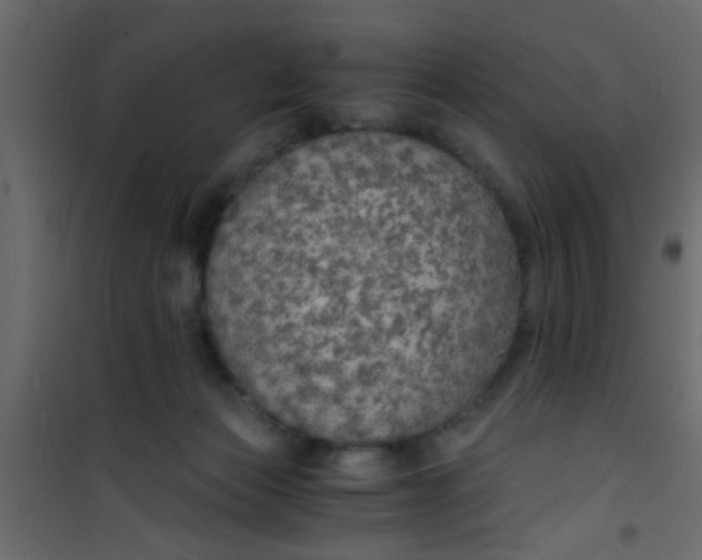 X0000101120173200807172008