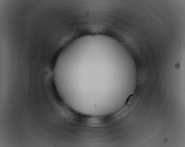 X0000101120176200807172008