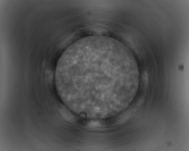 X0000101120177200807172008