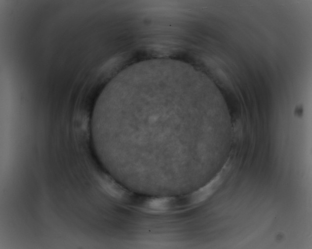 X0000101120178200807172008
