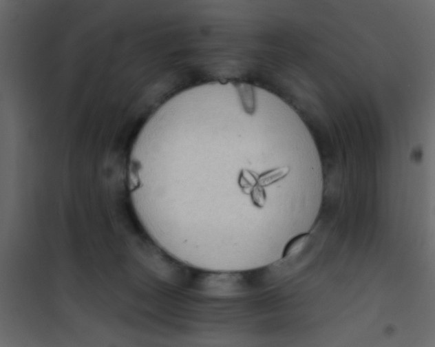 X0000101120179200807172008