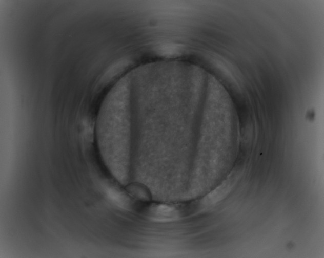 X0000101120180200807172008