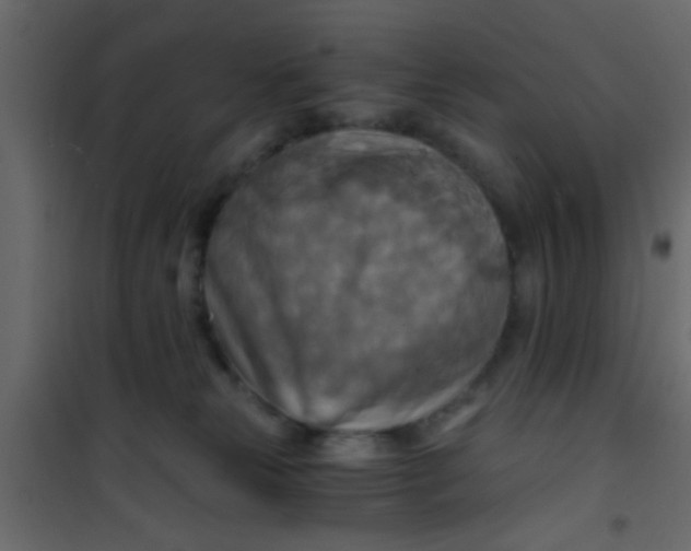 X0000101120181200807172008