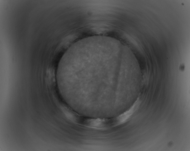 X0000101120182200807172008