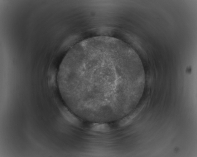X0000101120185200807172009