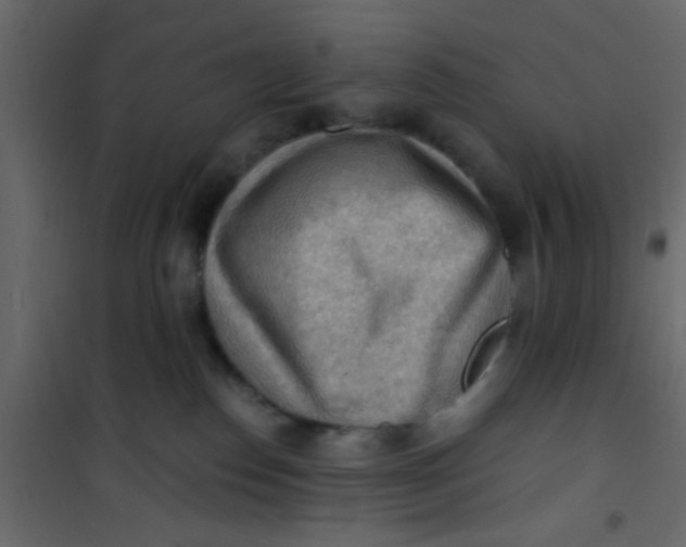 X0000101120186200807172009