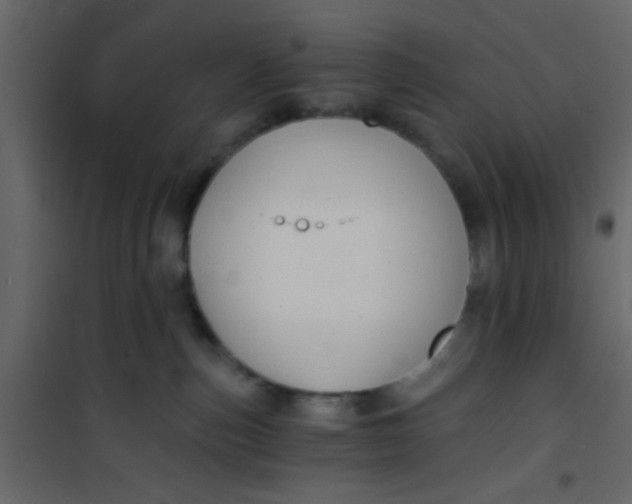 X0000101120187200807172009