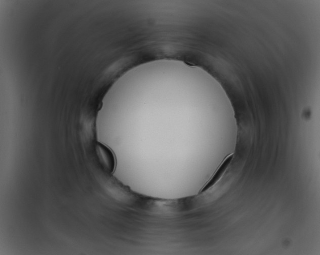 X0000101120188200807172009