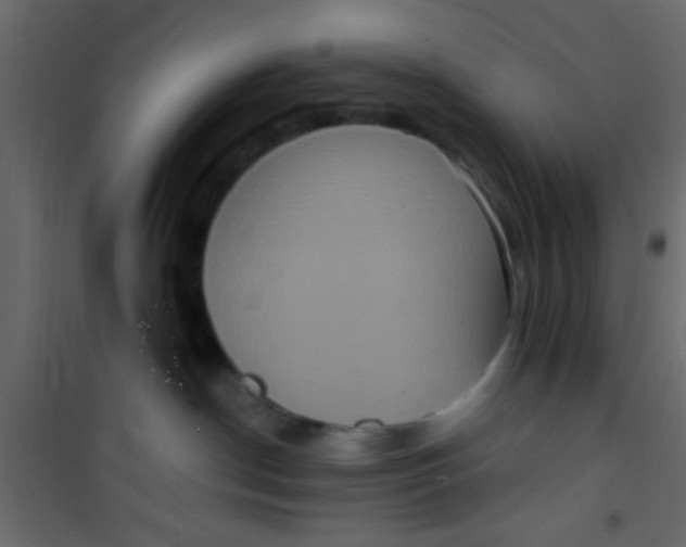 X0000101120190200807172009