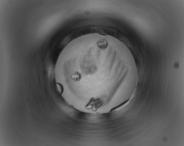 X0000101120191200807172009