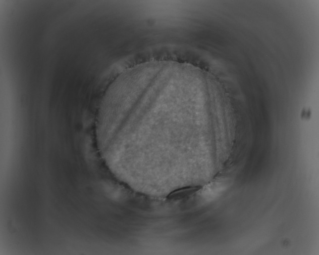X0000101120192200807172009