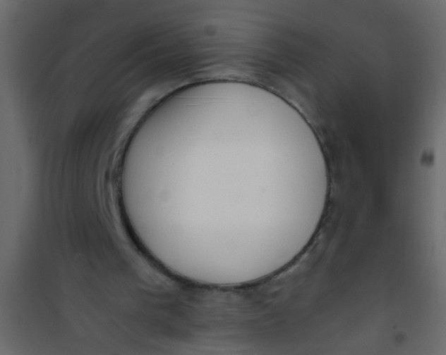 X0000101120193200807172008