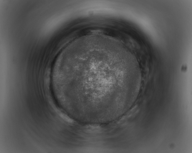 X0000101120194200807172008
