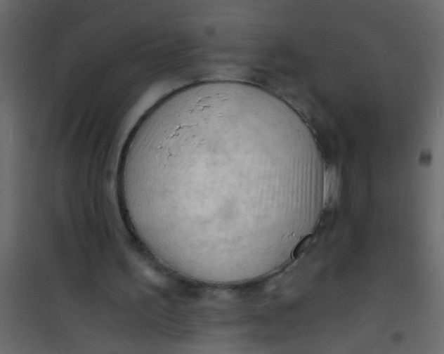 X0000101120195200807172008