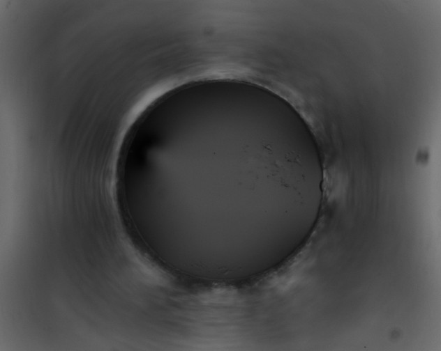 X0000101120196200807172008