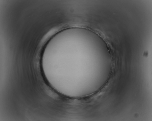 X0000101120197200807172008