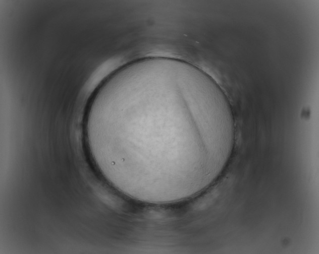 X0000101120199200807172008