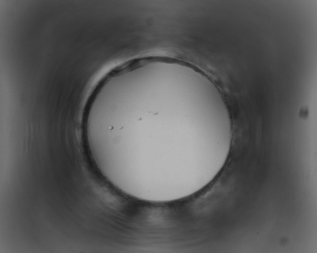 X0000101120200200807172008
