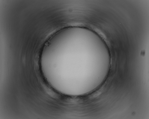 X0000101120201200807172008